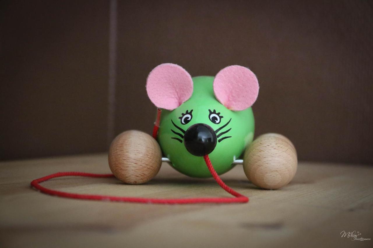 Gite De La Souris Verte Molamboz Exterior foto